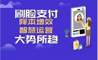 刷脸支付代理的机遇与挑战，及网络刷票行为的反思